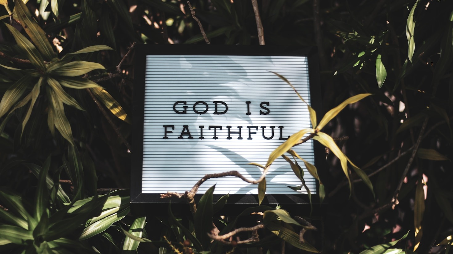 The Power of Hope: Insights from God’s Word